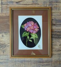 Image 1 of Vintage Hydrangea