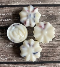 Raspberry Daiquiri Wax Melts