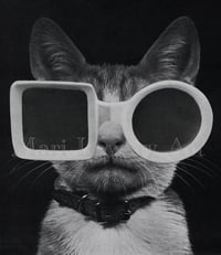 Mr. Cool 8 x 10 Inch Black and White Mod Cat in Retro Sunglasses Paper Collage Art Print