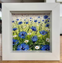 Image 3 of ‘Cornflower Meadow’