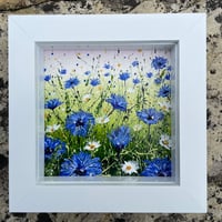 Image 5 of ‘Cornflower Meadow’