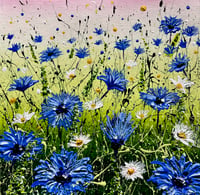 Image 1 of ‘Cornflower Meadow’