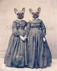 Bully Girls French Bulldog Twin Sisters 8 x 10 Inch Animal Art Print