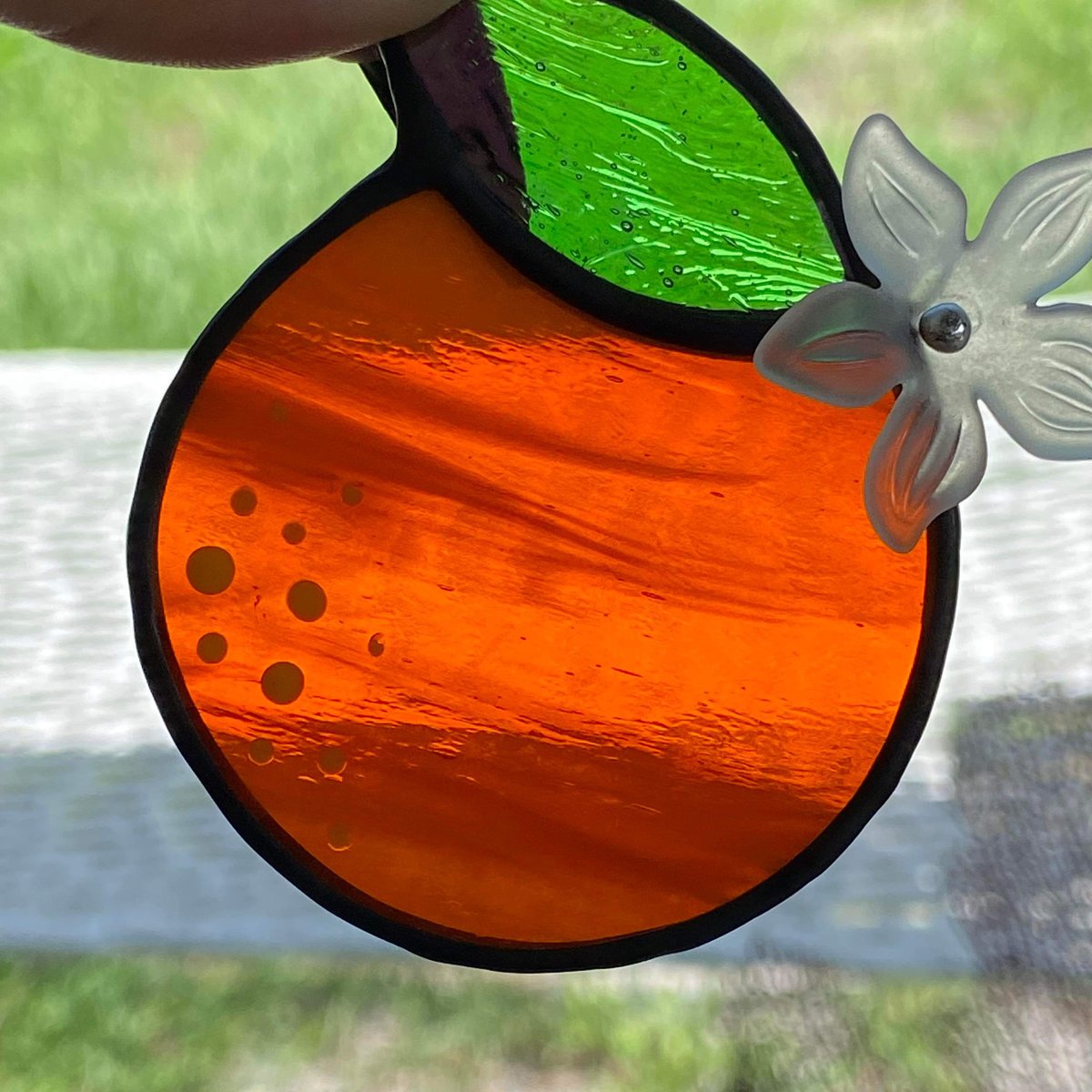 Image of Oranges with Bloom