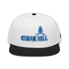 Cedar Hill (Blue/Blck) Snapback Hat