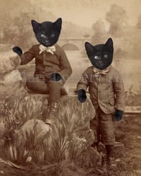 Kitten Boys Twin Black Cat Brothers Cats in Clothes 8 x 10 Inch Print