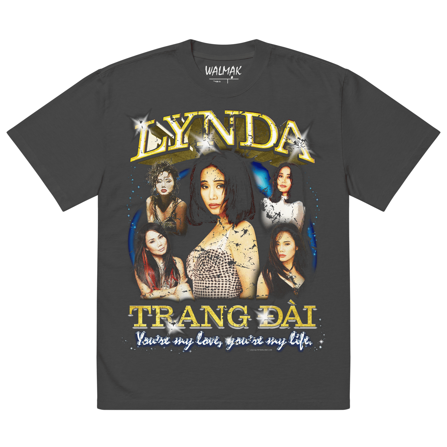 Lynda Trang Đài - Oversized Faded Tee