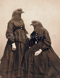 Pigeon Sisters Birds in Dresses 8 x 10 Inch Art Print