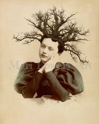 Twiggy Woman with Tree Branches in Hair 8 x 10 Inch Altered Photography Art Print