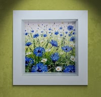 Image 2 of ‘Cornflower Meadow’