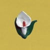 Calla Lily Magnet