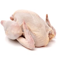 frozen chicken wholesale