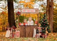 Image 3 of Holiday Mini Sessions: Capture the Magic of the Season!