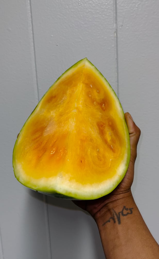 Image of Orange Watermelon Perk Bowl