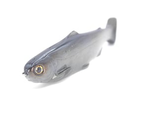 Image of Tyrant 8 ( SPECTATOR )