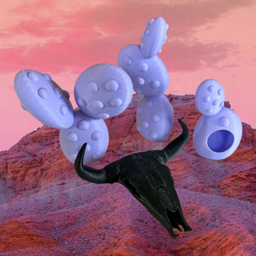 FHOS - Space Cowgirls