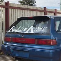 Image 5 of Signature Club Banner ~ Large Decal