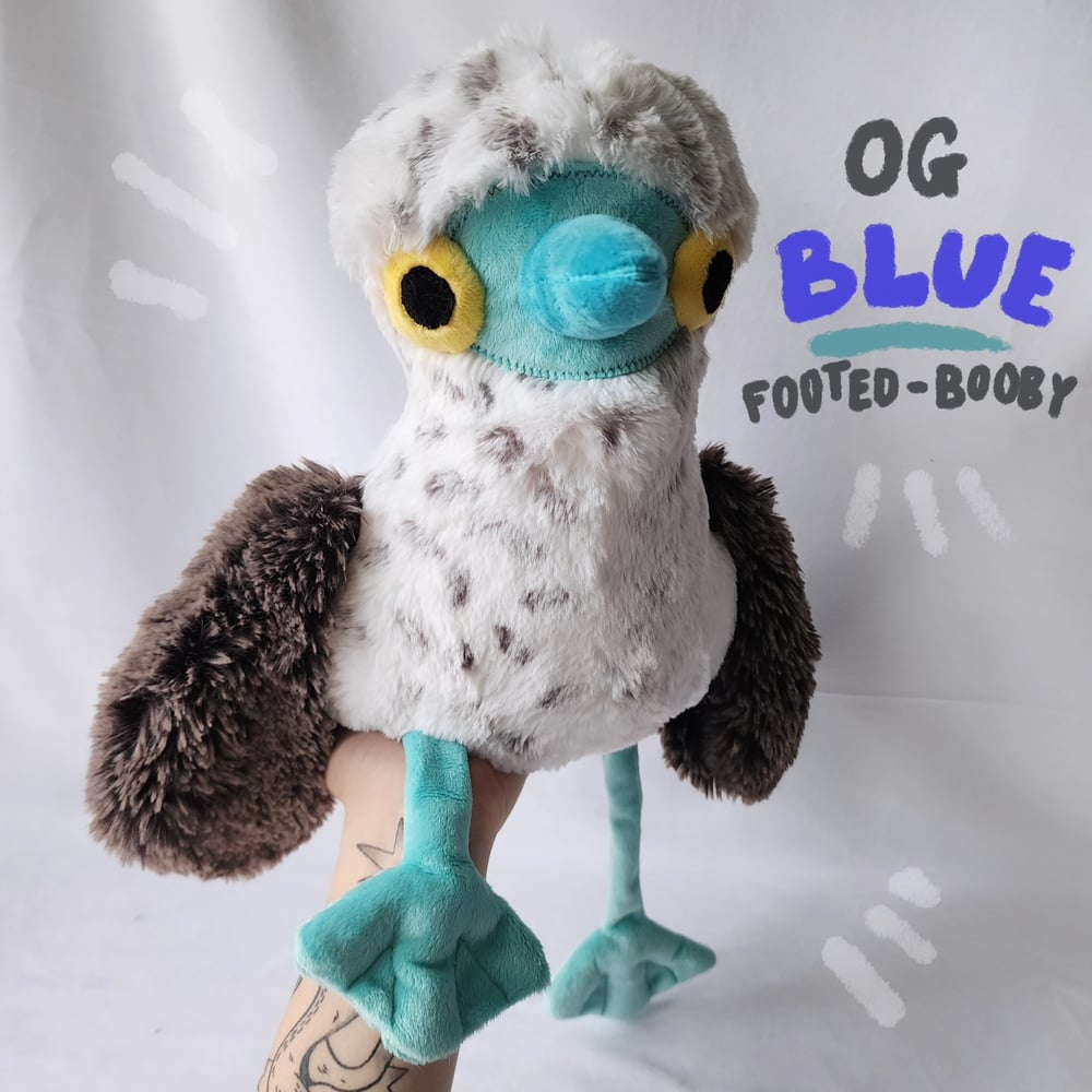 Image of OG Blue footed booby 