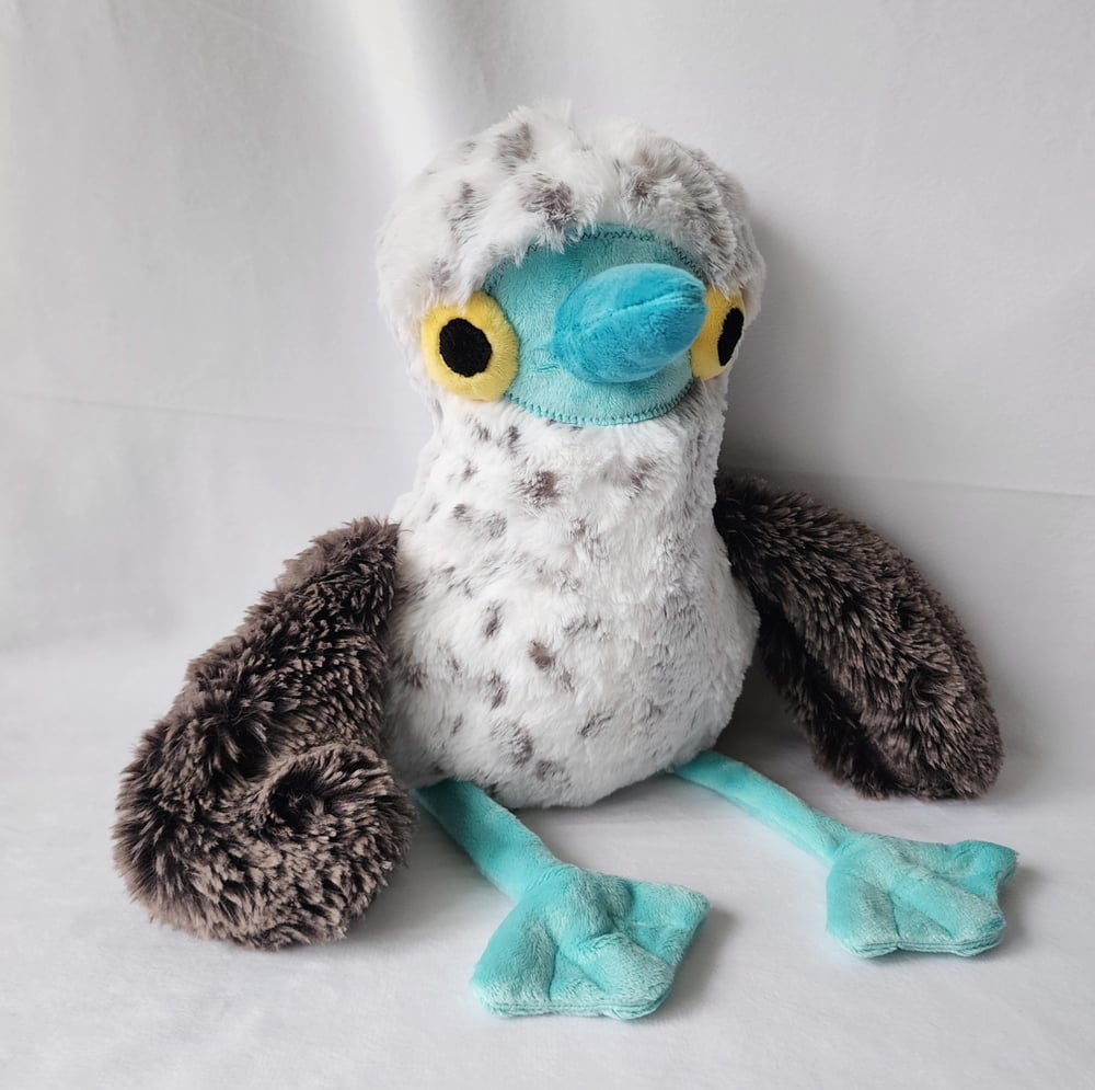 Image of OG Blue footed booby 