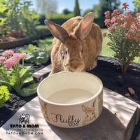 Image 1 of Customized Pet Bowl 🐰 
