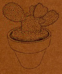 Heart Shaped Opuntia