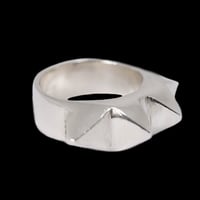 Image 3 of Flail Ring