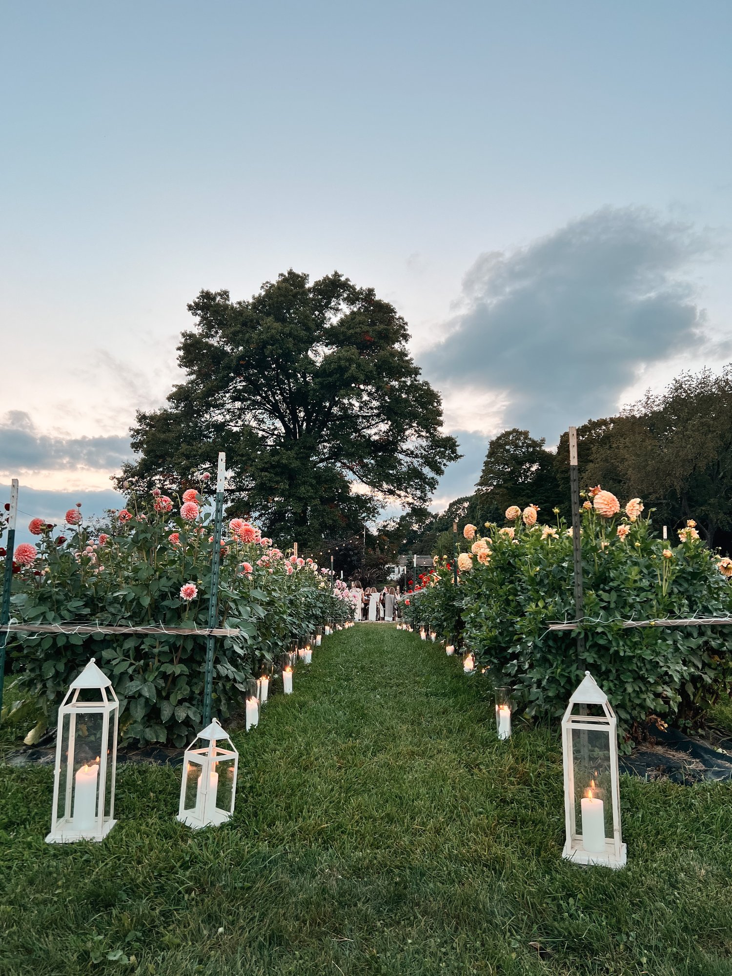 Image of Lovebird's Bourbon & Blooms