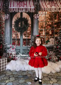 2024 Santa Mini Sessions - Sunday, December 8th