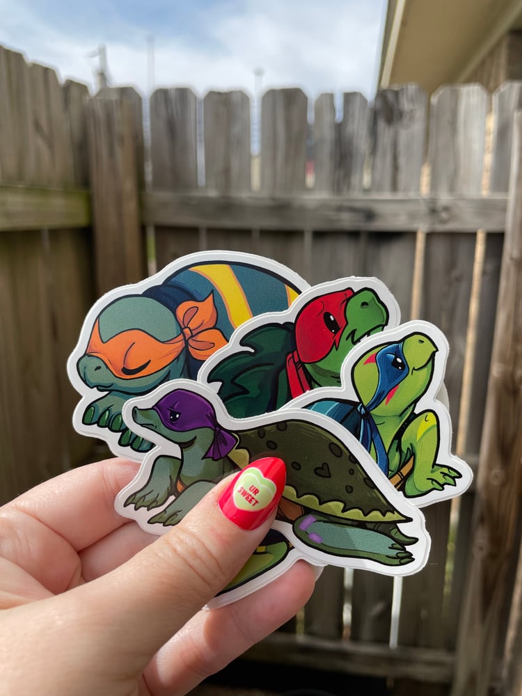 Image of 3in Baby Turtle Set