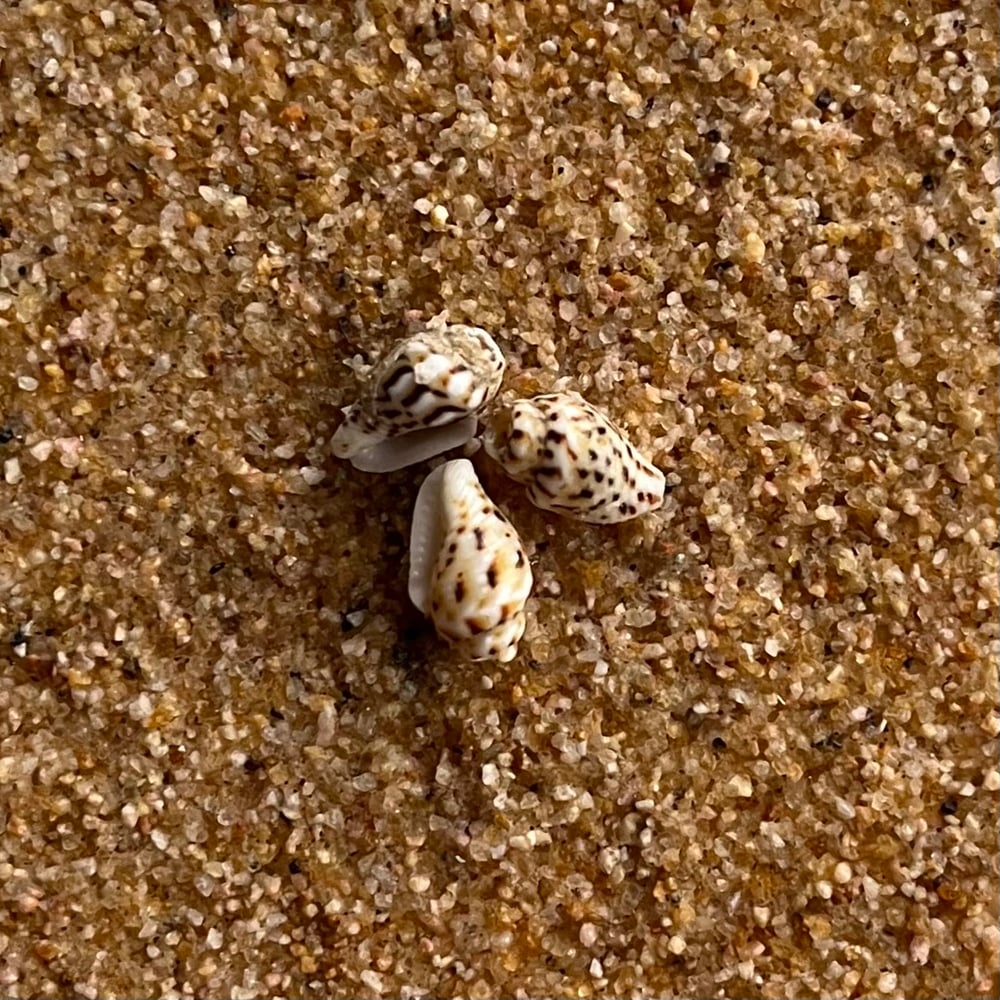 Small Beach Painting #3