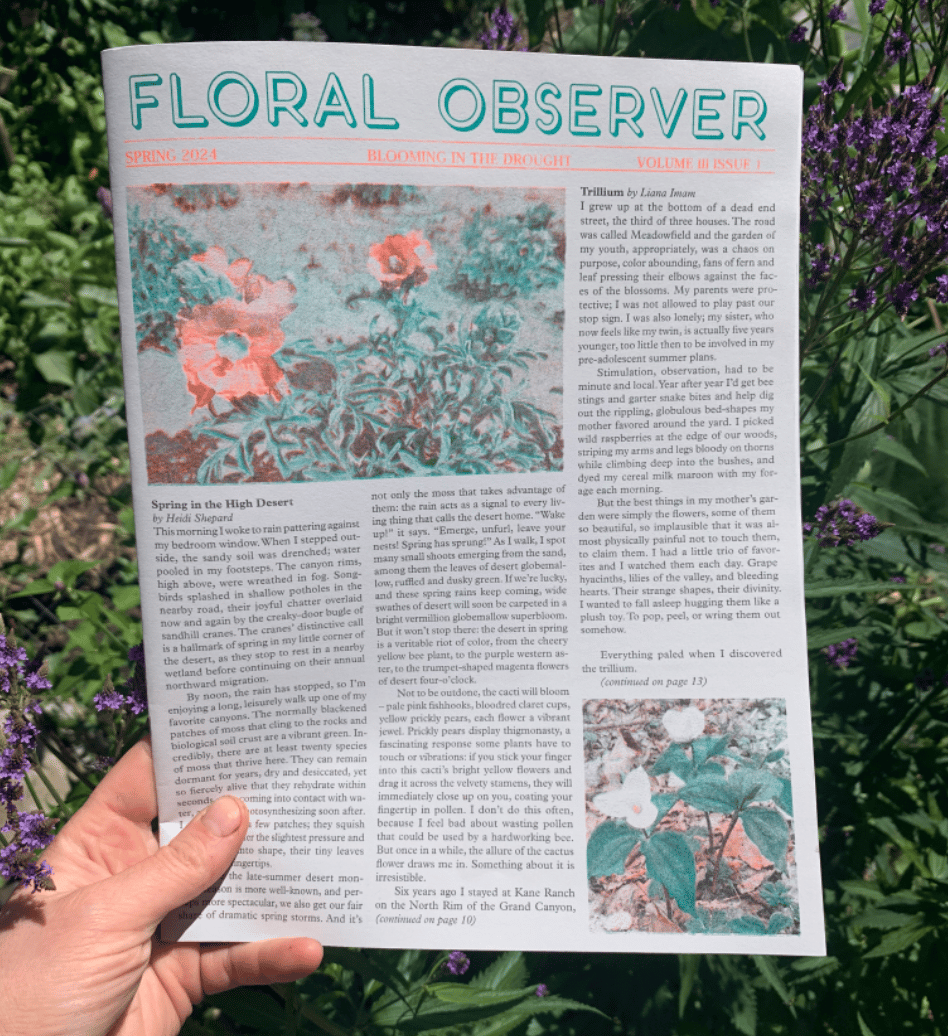 SPRING FLORAL OBSERVER 2024