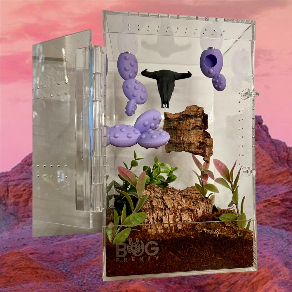 FHOS - Space Cowgirls
