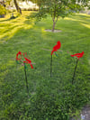 Cardinal on stake 