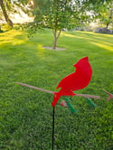 Cardinal on stake 