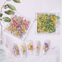 Image 2 of DRY FLOWER BOX 