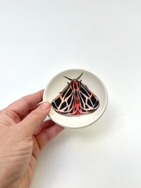 Image 3 of Moth 1, diameter 9.7 cm