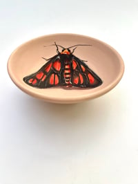 Image 2 of Moth 2, diameter 10.5 cm 