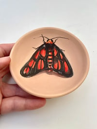 Image 1 of Moth 2, diameter 10.5 cm 