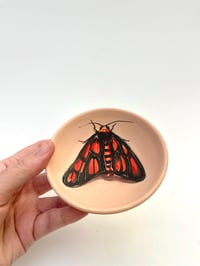 Image 4 of Moth 2, diameter 10.5 cm 