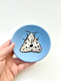 Image 1 of Moth 4, diameter 11 cm