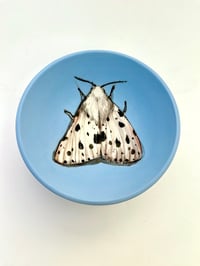 Image 3 of Moth 4, diameter 11 cm