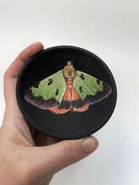 Image 1 of Moth 5, diameter 9.5 cm