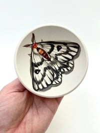 Image 2 of Moth 6, diameter 10 cm