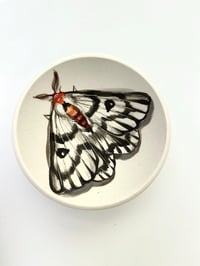 Image 3 of Moth 6, diameter 10 cm