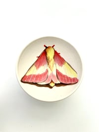 Image 1 of  Moth 9, diameter 9 cm