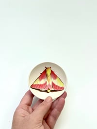 Image 2 of  Moth 9, diameter 9 cm