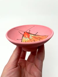 Image 2 of  Moth 11, diameter 9.7 cm