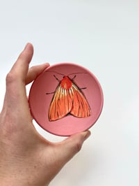 Image 3 of  Moth 11, diameter 9.7 cm