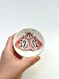 Image 1 of Moth 13, diameter 9.4 cm