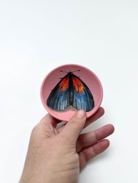 Image 1 of Moth 15, diameter 9 cm